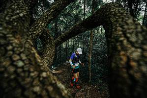 BIB: 
                            <button type="button" onclick="openModal(25671398)" class="btn btn-primary btn-sm float-right btn-popup" data-toggle="modal" data-target=".modal-high-quality">
                        <i class="fas fa-shopping-cart"></i> Add to Cart
                    </button>
                                            <button type="button" onclick="isThisMe(25671398, true)" class="btn btn-success btn-sm float-right btn-popup btn-isme hidden" data-toggle="tooltip" data-placement="bottom" title="นี่คือรูปของคุณใช่ไหม คลิกที่นี่เพื่อเอาเข้าอัลบั้ม">
                        <i class="fas fa-plus"></i> Add to album
                    </button>
                    <button type="button" onclick="isThisMe(25671398, false)" class="btn btn-warning btn-sm float-right btn-popup btn-isnotme hidden">
                        <i class="fas fa-ban"></i> Remove from album
                    </button>